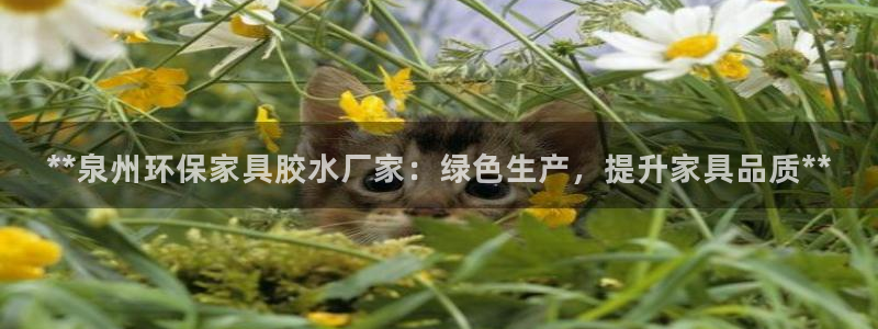 杏耀官网游戏