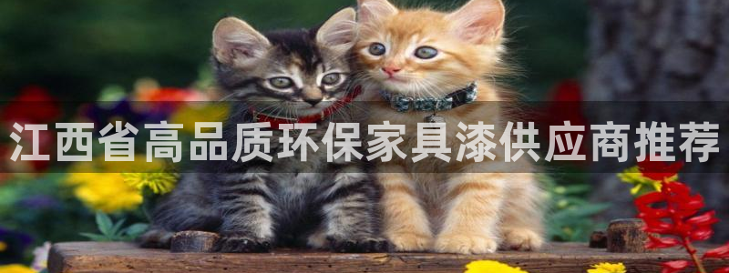 杏耀平台怎么样