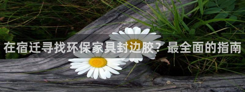杏耀登陆