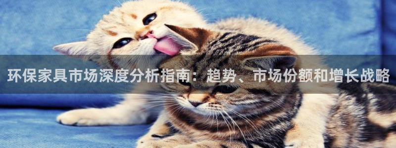 杏耀线路5检测