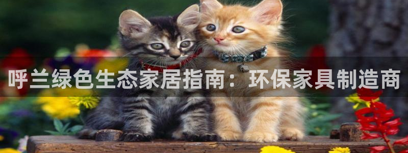 杏耀代理注册开户