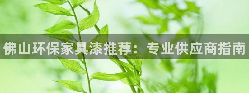 杏耀注册登录代理