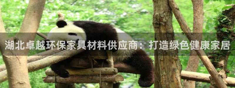 杏耀平台还在吗