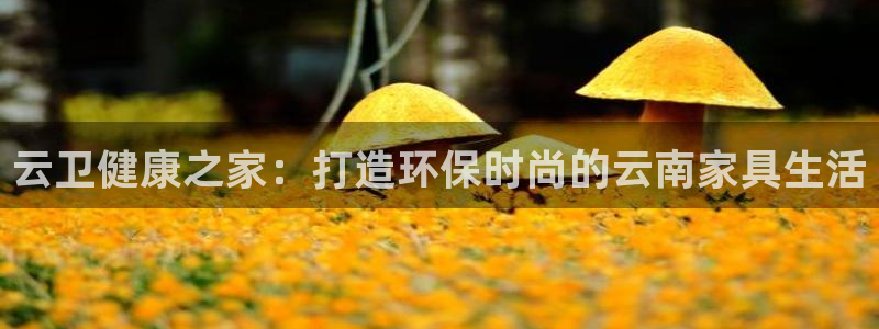 杏耀手机客户端