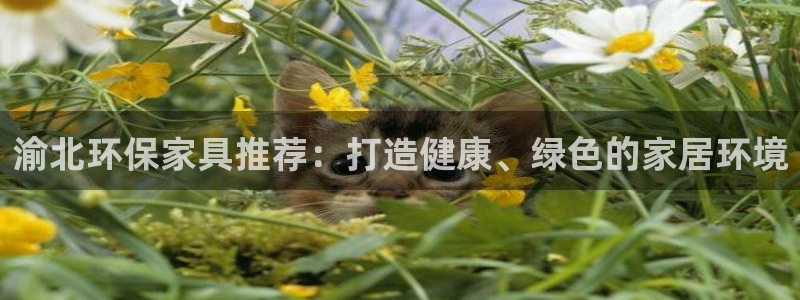 杏耀平台登录网址是什么