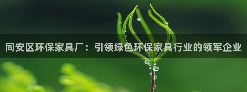 杏耀登入测速