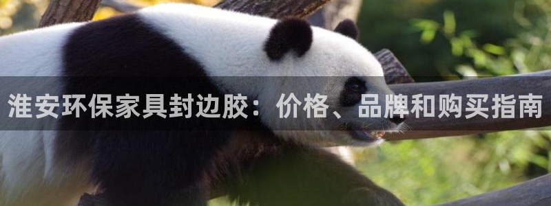 杏耀登录网页：淮安环保家具封边胶：价格、品牌和购买指南