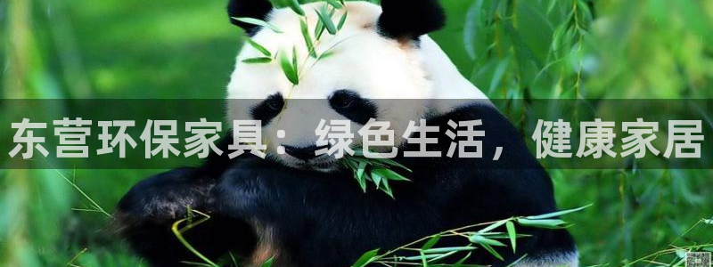 杏耀平台代理注册多少钱一年：东营环保家具：绿色生活，健康家居