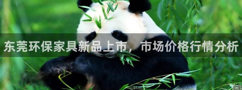 杏耀注册主管：东莞环保家具新品上市，市场价格行情分析