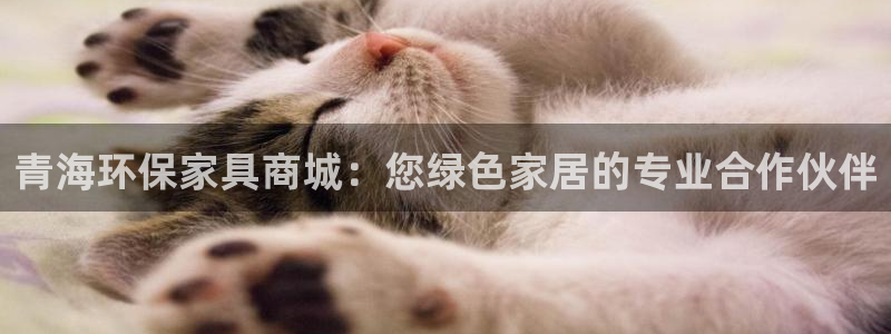杏耀登入官网：青海环保家具商城：您绿色家居的专业合作伙伴