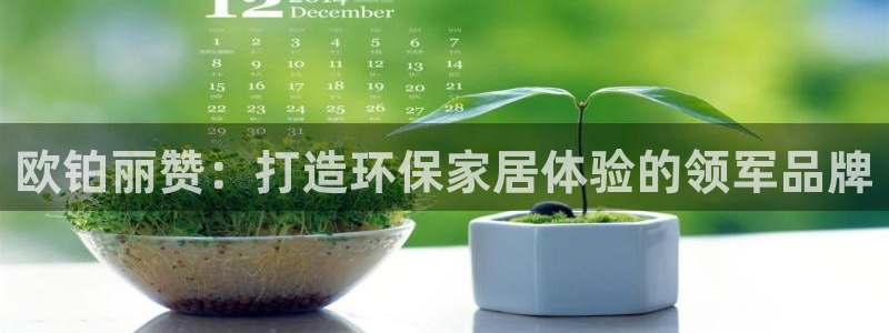 杏耀代理日工资多少