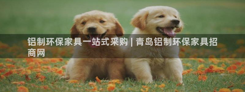 杏耀平台网页版