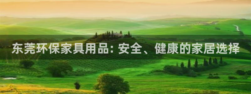 杏耀平台得专用通道：东莞环保家具用品: 安全、健康的家居选择