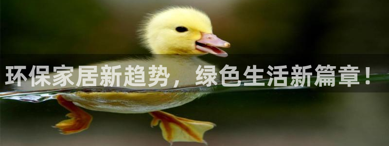 杏耀平台登陆官网