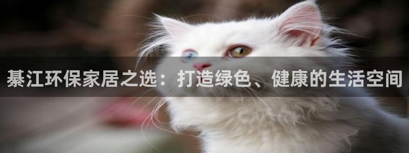 杏耀登陆测速