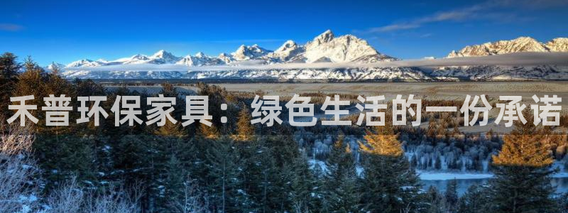 杏耀平台登录网址：禾普环保家具：绿色生活的一份承诺