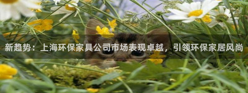 杏耀平台可以提款吗