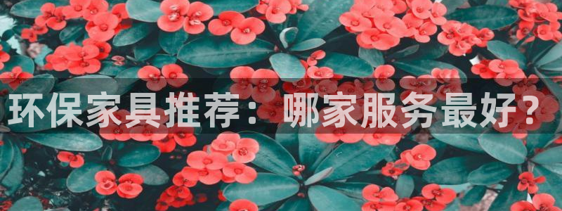 杏耀官网网站：环保家具推荐：哪家服务最好？