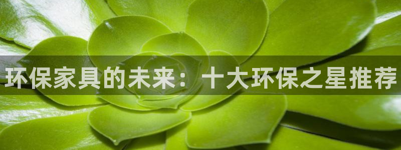 杏耀官方网：环保家具的未来：十大环保之星推荐