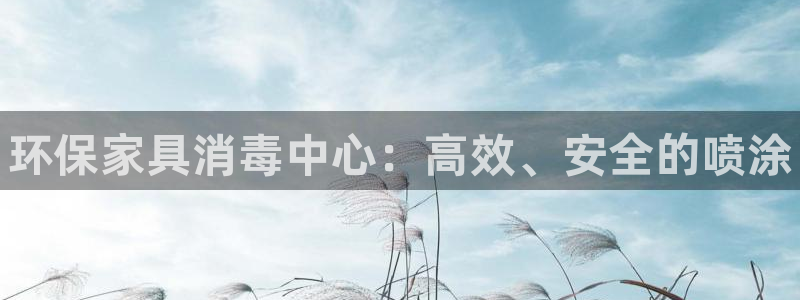 杏耀注册主管：环保家具消毒中心：高效、安全的喷涂