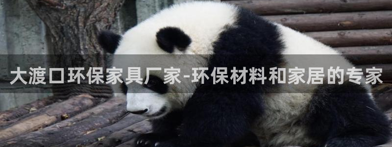 杏耀管网登录：大渡口环保家具厂家-环保材料和家居的专家