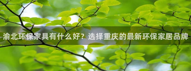 杏耀平台登录检测：渝北环保家具有什么好？选择重庆的最新环保家